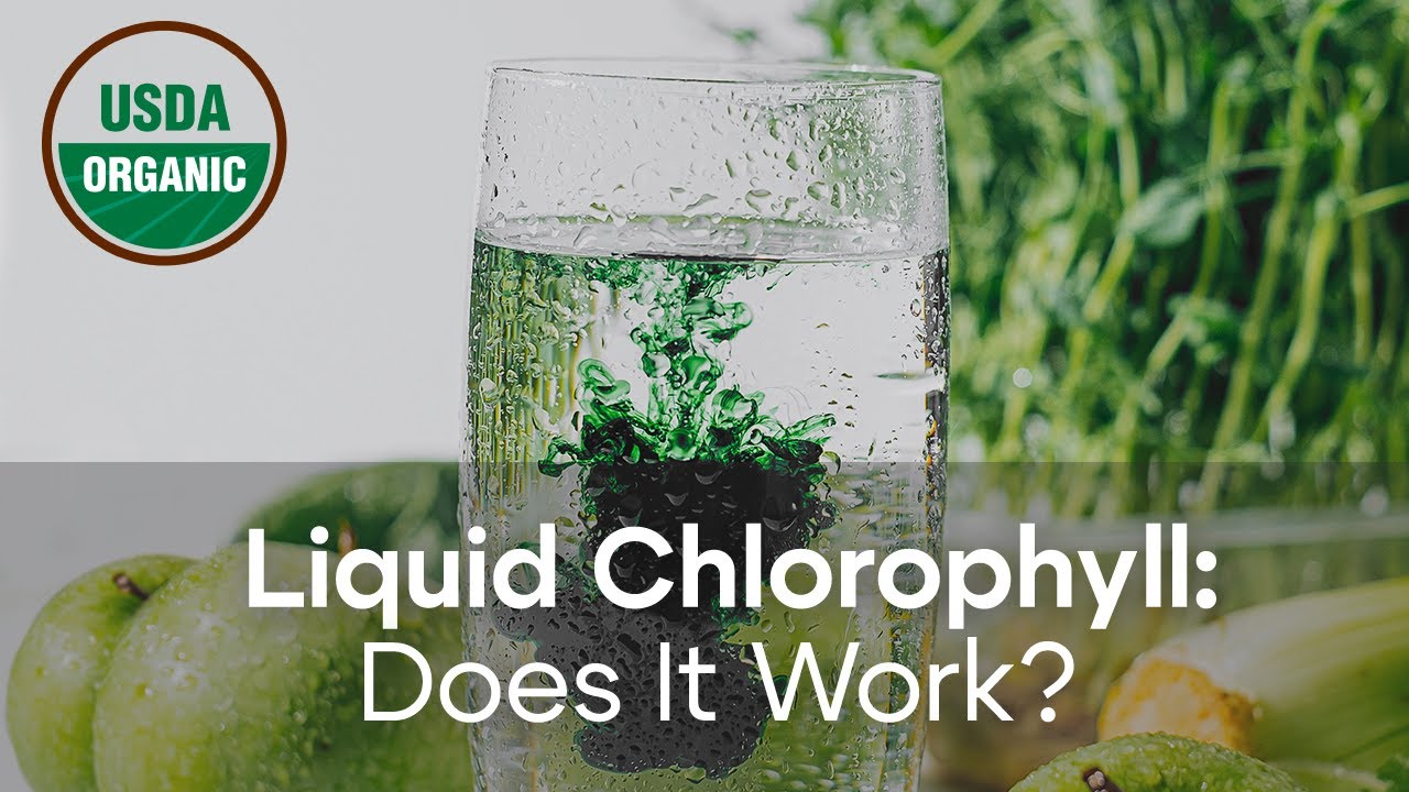 Does Liquid Chlorophyll Actually Work? | (Quick Review)