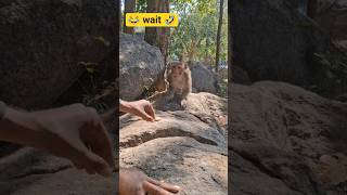 মানুষ এতোটা কেলাচোদা হয় 😂🤣 #funny #shortvideo #bengalifunnyvideo