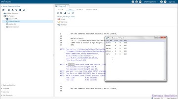 Base SAS: How to Import Raw Data File Into SAS (List Input)