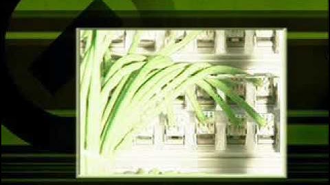 Qt, the developers tool kit