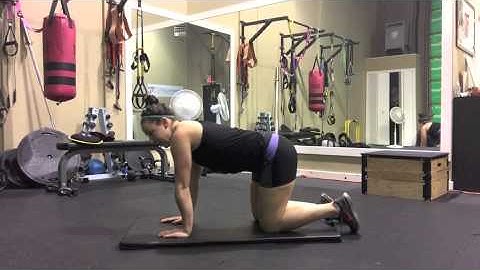 Quadruped Core Exercise