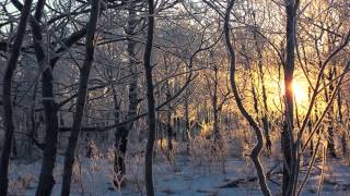 Yoga sutras of pantanjali Book 3 chapter 26 - By perfectly concentrated Meditation