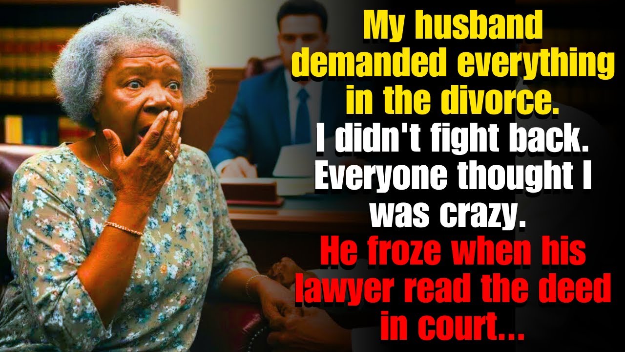 In Court, My Husband Took All My Money From Me — He Had No Idea What He Was Really Taking...