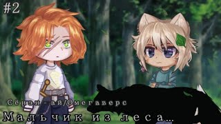 Озвучка мини фильма Мальчик из леса 2часть Яой Омегаверс @KaKaDu_12