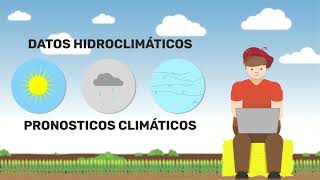 Relación del fenómeno El Niño/La Niña y la producción agropecuaria en Santa Fe