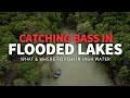 Catching bass in flooded lakes tips for fishing high water