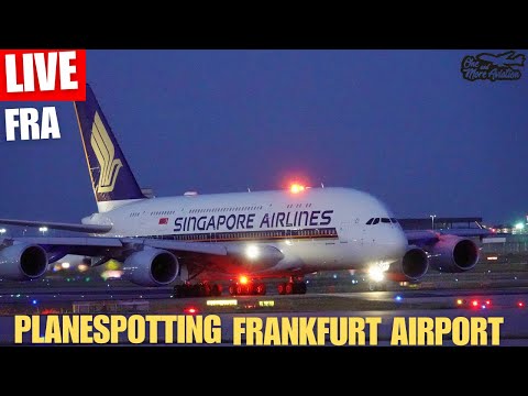 🔴Live Summer Night Planespotting Frankfurt Airport ☀️ #airplanes 🌇