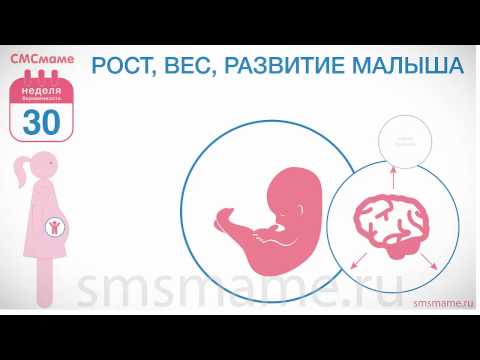 30 неделя беременности - декретный отпуск, анализы и врачи.