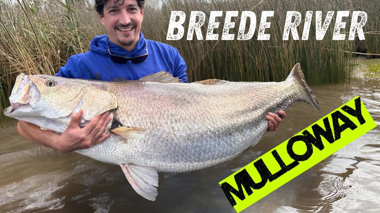 Брид Ривер Маллоуэй/Кабельжу пойман на искусственную приманку!