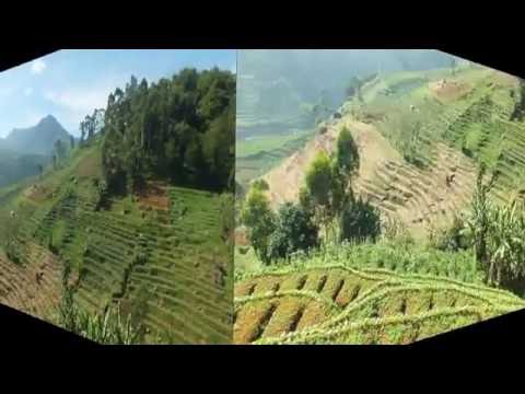 Lagu Sunda | Kacapi Suling | Papatet Panambih Toropongan Lagu Sunda | Kacapi Suling | Papatet Panambih Toropongan