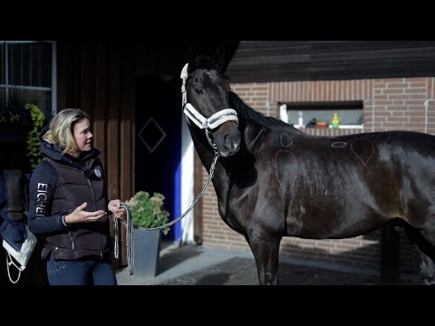 Video: Wird mein Kind aus der Pferdephase herauswachsen? 20 Zeichen zu suchen