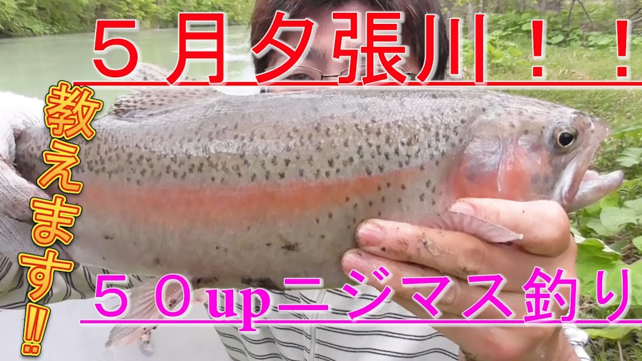 夕張川釣り ニジマス爆釣の秘密は Youtube
