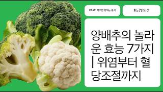 🥬양배추의 놀라운 효능 7가지 | 위염부터 혈당조절까지 (feat. 먹으면 안되는 음식)🥬