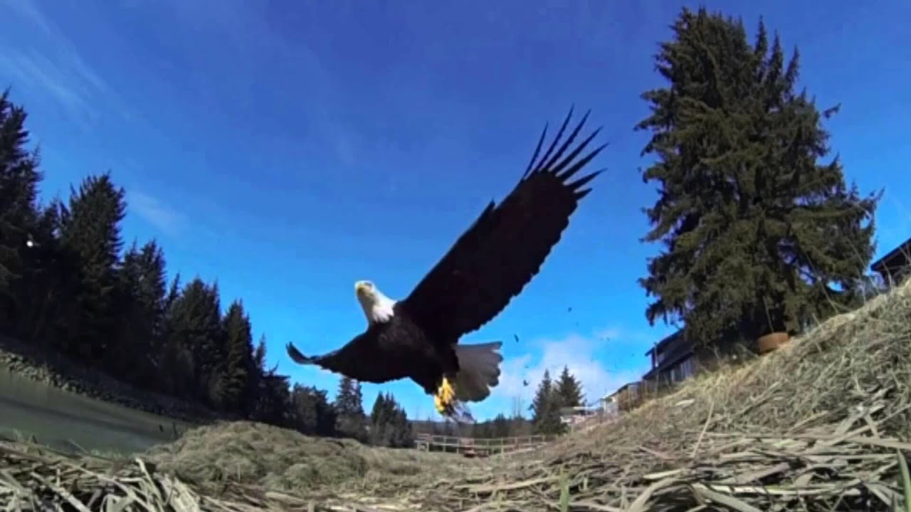 Chante Bottine "Remake" de Colette Lacroix