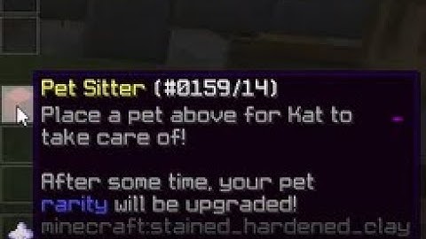 Obtaining Glitched Items In Hypixel Skyblock