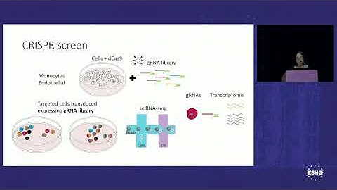 PL3.02 - Next generation functional genomics: single cell CRISPR optimized approach for uncovering..