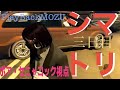 20240522　「Play Back MOZU」シマトリ三日目　ボア・セニャコック(#ストグラ鳥)