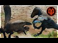 Utahraptor battle royale  path of titans