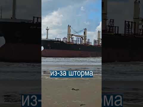 Все смешалось в Черном море: Сочи смывает волной