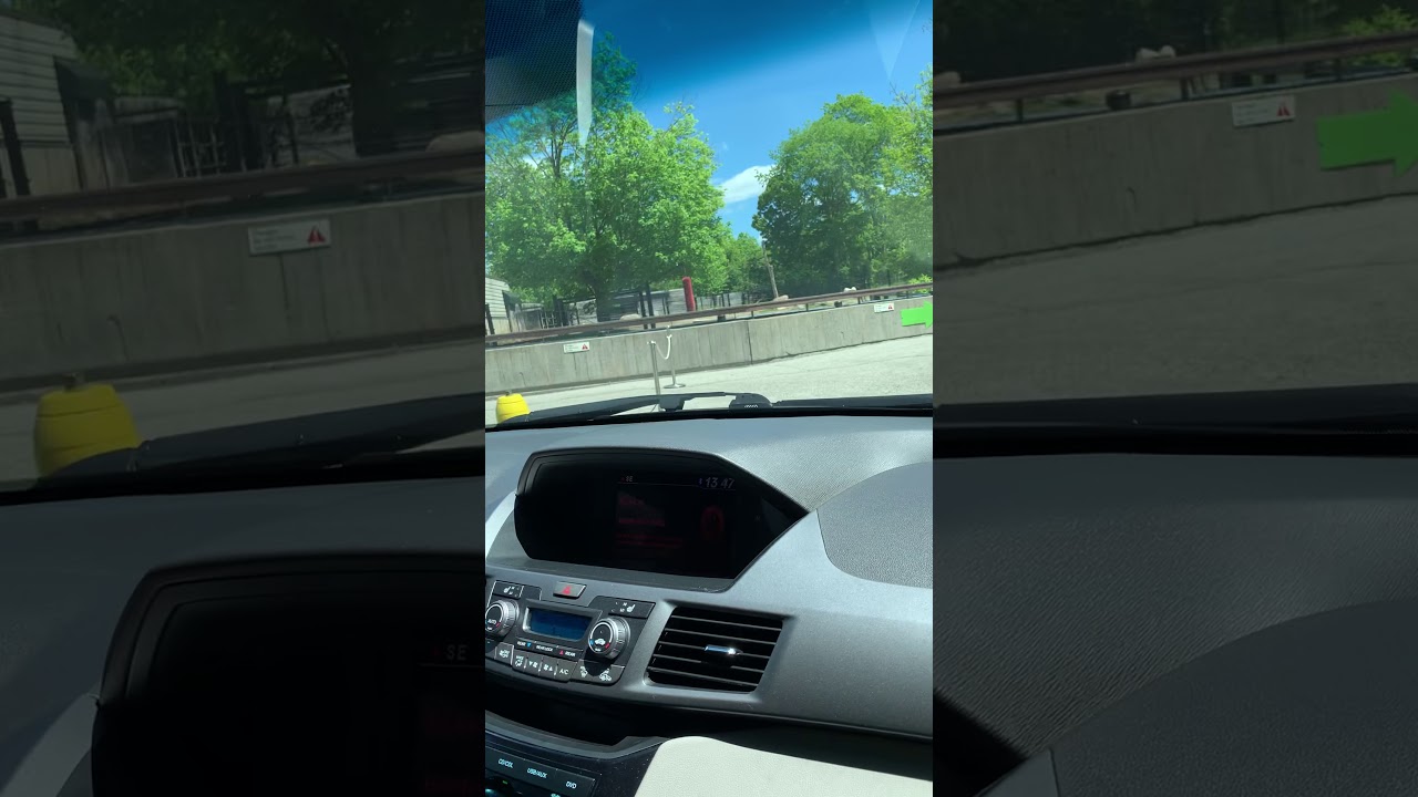 Drive Thru In Toronto Zoo Youtube