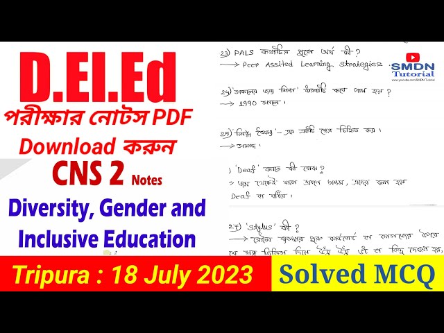 CNS 2 DIVERSITY, GENDER AND INCLUSIVE EDUCATION NOTES । Solved MCQ of DElEd Previous Year Question class=