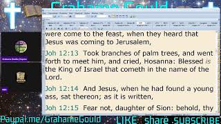 John 11 - Calvinism or Provisionism?
