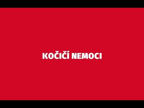 Video: Plísňová Nemoc (sporotrichóza) Kůže U Koček