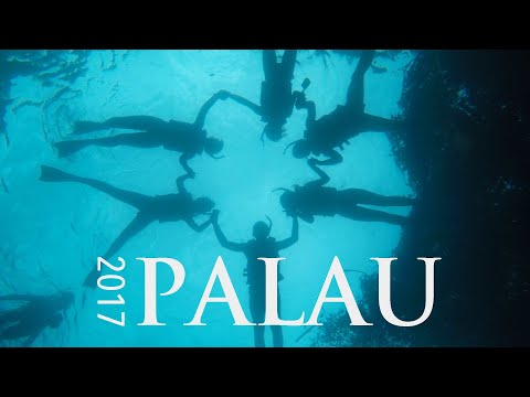 Palau 2017 帛琉 帕勞｜全家第一次一起出國 海上遇上暴風雨 美麗的國家 謝謝爸爸帶我們出去玩🤍