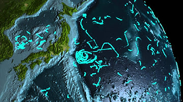 Global Ocean TV - Episode 21