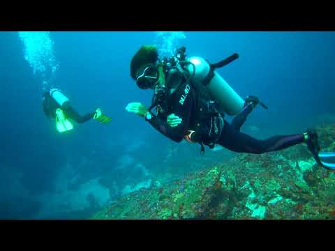 Diving "Blue Corner", Nusa Lembongan, Bali, Indonesia