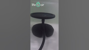 ECD270-E | Difusor de Burbuja Fina 9 Pulgadas EPDM #shorts