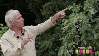 Pourquoi un pommier ne donne pas de pommes ?