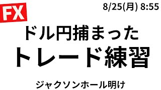 FXライブトレードをするAkiの配信のサムネイル画像