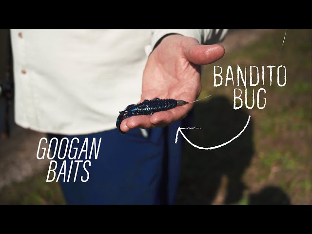 Googan Baits Review  The Bandito Bug 