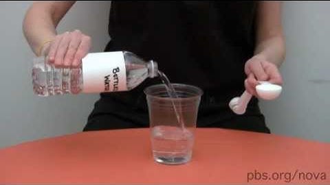 NOVA | Extract Your DNA