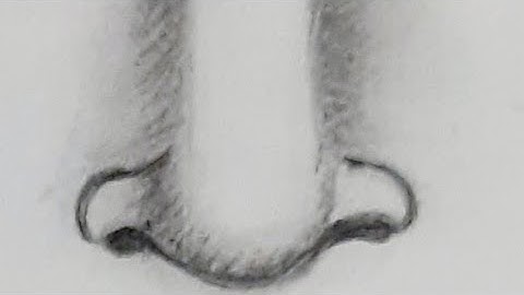 Nose drawing for kids, How to Draw Nose step by step, Easy Nose, cartoon nose