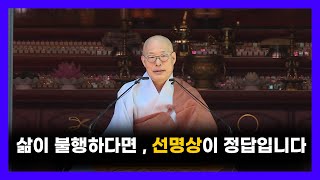 선명상 그리고 조화로운 삶  [부처님오신날 봉축 조계사 선명상 특법회]