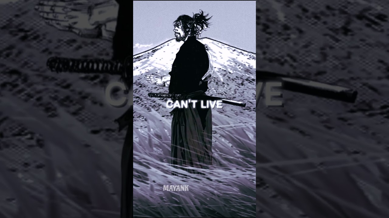 what do you have left ?    #dreams #dream #vinlandsaga #anime #vegabond