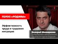 Голос «Родины» / Эффективность труда и трудовая миграция // 23.04.21