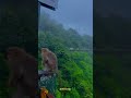 Wayanad is Green Paradise in rainy #wayanad #wayanaddiaries #kerala #tour #hillstation #ghat