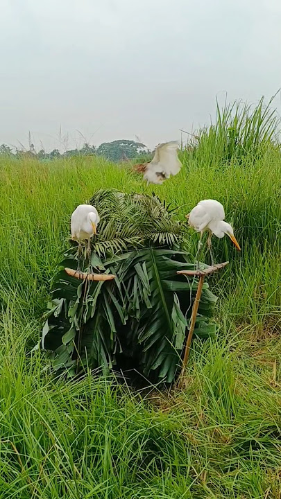 so sad Post view the🤣🤣 #comedy #tending #video #vietnam