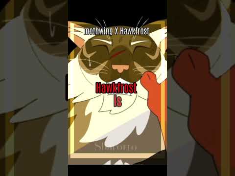 Warrior Cats ships