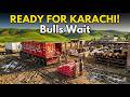 COMING KARACHI MAWESHI MANDI | SOORI CATTLE FARM | GETTING READY | BAKRA EID 2026| VLOG 48