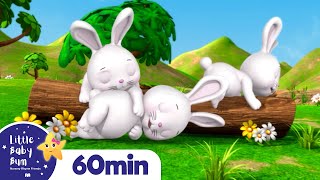 Sleeping Bunnies More Nursery Rhymes And Kids Songs Little Baby Bum