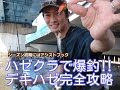 江戸川 ハゼクラでデキハゼ爆釣攻略!
