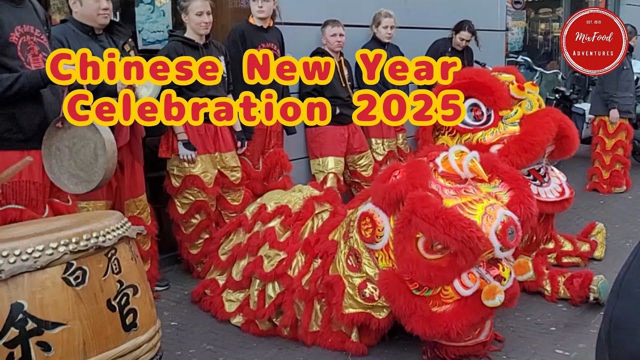 CHINESE NEW YEAR CELEBRATION 2025 IN DEN HAAG NEDERLAND. VIERING CHINEES NIEUWJAAR 2025.