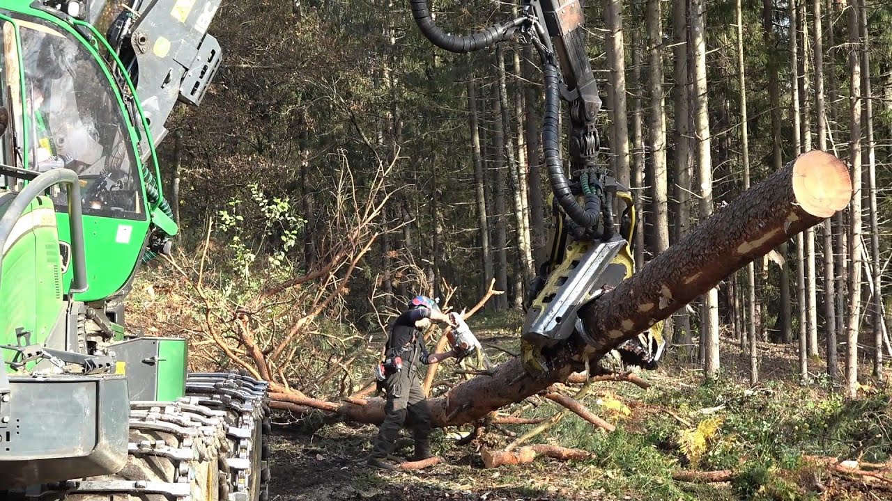 🌲 John Deere 1170G & H414 🌲 MS 462 🌲 Harry Onboard 🌲 Hagelschäden im Kiefernwald