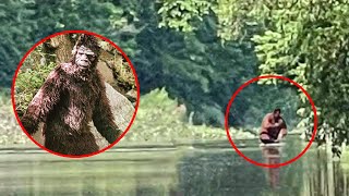 If These Creatures Were Not Filmed, No One Would Have Believed Them