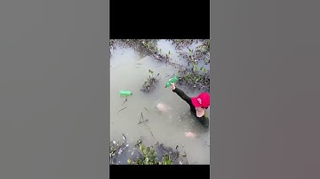 Thả Câu Bằng Chai Dính Khiếp Quá#shock