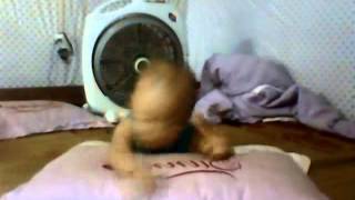 Capture 20140908